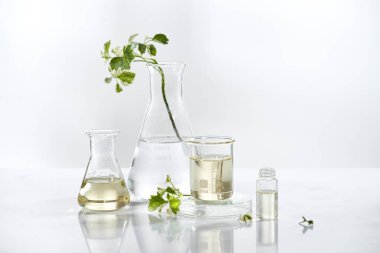 yaprak, ev yapımı petrol ve güzellik vitamini ingredient.organic ürün araştırma ile ambalaj boş şişe konteyner, bio bilim doğal kozmetik cilt bakım serumu. Alternatif Tıp. Spa.