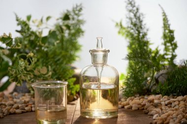Bilim adamı doğal ilaç araştırma, doğal organik botanik ve bilimsel Züccaciye Mağazaları, alternatif yeşil ot tıp, Doğal Cilt Bakımı güzellik ürünleri, araştırma ve geliştirme kavramı ile.
