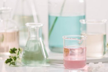 Doğal güzellikler ve organik kozmetik cilt bakımı ürünü için yaprak, yağ ve madde özü ile laboratuvar deney ve araştırma etiket bilim kavramı için boş şişe. alternatif tıp. Spa.