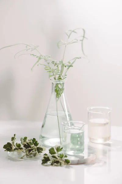 Concept Huiles Parfumées Verrerie Laboratoire Avec Eau Florale Infusée Sur — Photo