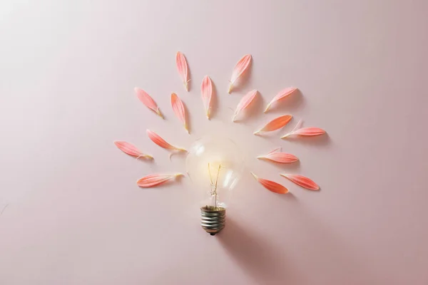 Glödlampa Med Vacker Blomma Runt Rosa Bakgrund — Stockfoto