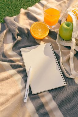 günlük ve meyve ile doğada yaz piknik