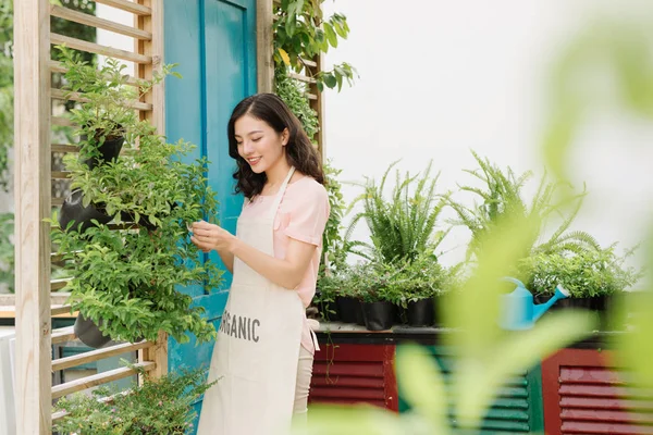 Attraente Donna Potatura Alberi Con Forbici Giardino — Foto Stock