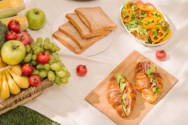 Kavramı bir piknik, yaz ve dinlenme. 