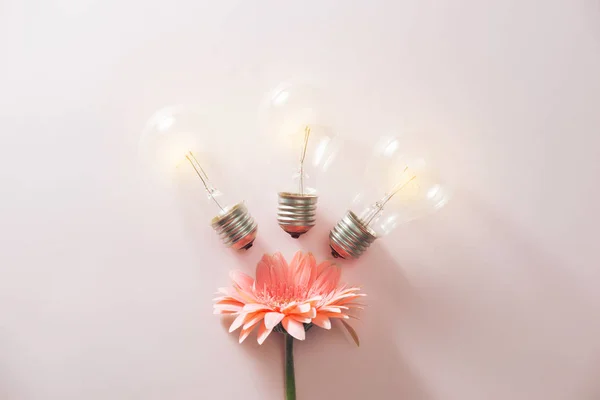 light bulbs to save energy with flowers around on pink background