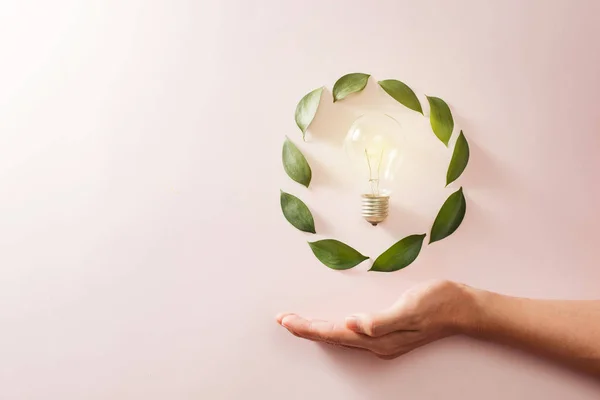 green world in the heart hand with light bulb - pink background