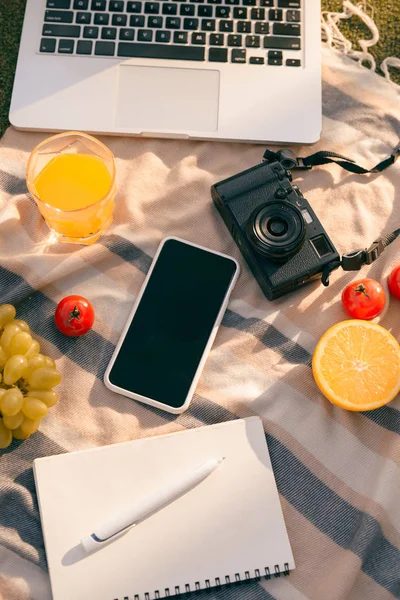 Picknick Auf Einem Tisch Freien Mit Frischem Obst Laptop Telefon — Stockfoto