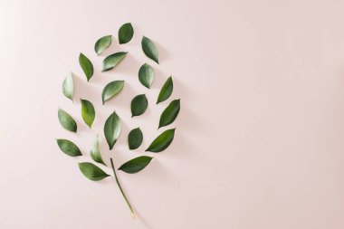 Eko yeşil enerji konsept ampul, ampul pembe arka plan üzerinde yaprakları.