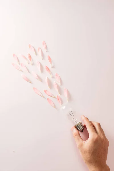 light bulb to save energy with flowers around on pink background