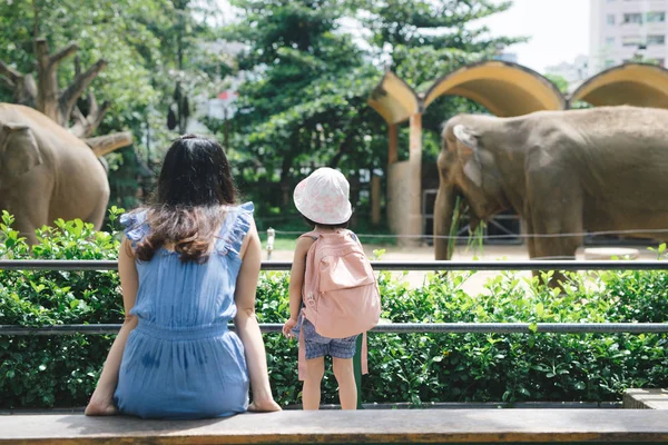 快乐的母亲和女儿在动物园里观看和喂养大象 — 图库照片