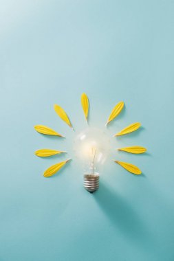 Eko ampul ile ekoloji ve enerji tasarrufu konsepti
