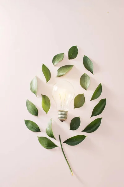 Eco green energy concept bulb, lightbulb leaves on pink background.