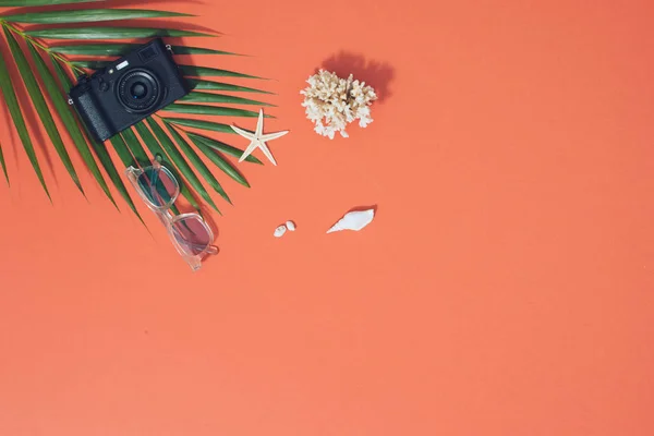 Zomer Vibes Camera Zonnebril Witt Tropische Palmtak Schelpen Zeesterren Platte — Stockfoto