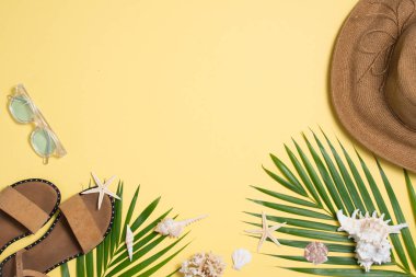 Deri sandaletler, tropik palmiye yaprakları, deniz kabukları, beyaz arka planda denizyıldızı. Yaz arka planı.