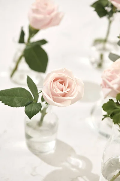 Hermosas Flores Color Rosa Jarrón Sobre Fondo Rosa Tarjeta Felicitación — Foto de Stock