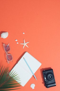 Düz plaj aksesuarları yatıyordu: güneş gözlüğü, günlük, palmiye dalları ve kabukları ile kamera