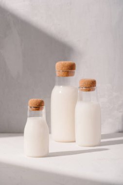 Süt veya kokteyl yaratıcı kavramı, minimalizm tarz, açı görünümü, bir metin için alan.
