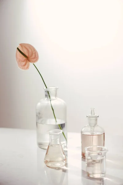 Natural Organic Botany Scientific Glassware Alternative Herb Medicine Natural Skin — Stock Photo, Image