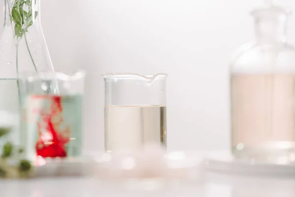 Composición Con Aceites Esenciales Flores Sobre Mesa —  Fotos de Stock