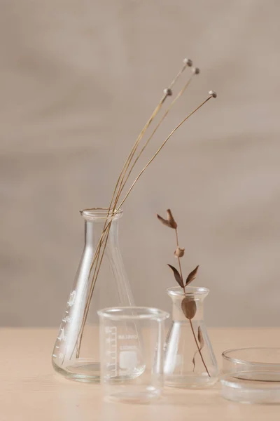 实验桌上有花的玻璃瓶 — 图库照片