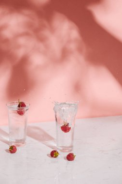 Taze ahududu ile beyaz şarap. ahududu kokteylleri