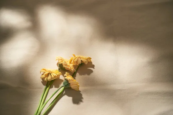 Hermosas Flores Sobre Fondo Amarillo —  Fotos de Stock