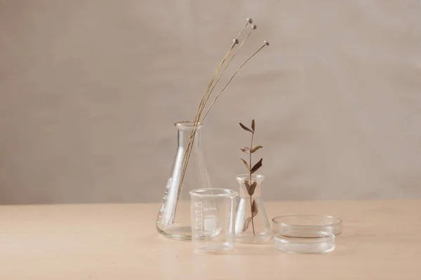 Naczynia Szklane Kwiaty Stole Laboratorium — Zdjęcie stockowe