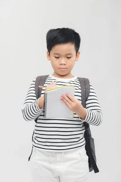 Joven Estudiante Preescolar Llevando Mochila Cuadernos Aislado Sobre Blanco — Foto de Stock