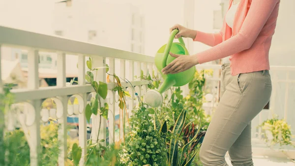 Mujer Joven Regando Plantas Flores Jardín Balcón Ciudad — Foto de Stock