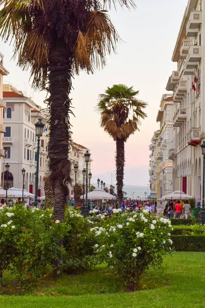 Thessaloniki Grekland Juli 2017 Kvällen Strandpromenaden Gatorna Thessaloniki — Stockfoto