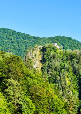 Poenari kaledir bir gerçek Drakula kalesi.