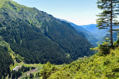 Fagaras dağlarında geçit.