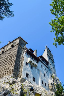 Bran Şatosu Transilvanya, Romanya'da peyzaj.