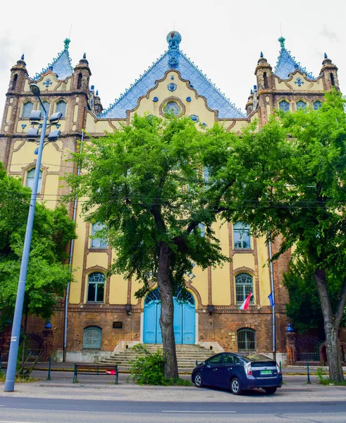 Clădirea Institutului Geologic Maghiar Din Budapesta — Fotografie, imagine de stoc