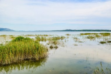 Manzara Vrana göl, Dalmaçya, Hırvatistan.