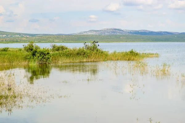 Táj Vrana Dalmácia Horvátország — Stock Fotó