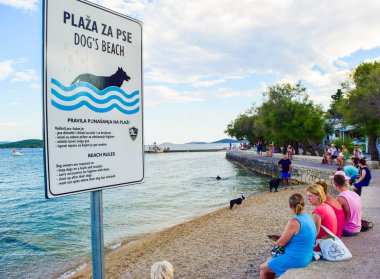 Vodice, Hırvatistan - 9 Temmuz 2018: Köpekler için özel donanımlı sahilde köpeklerle sahipleri.