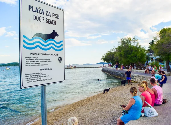 Vodice Croácia Julho 2018 Proprietários Com Cães Praia Especialmente Equipada — Fotografia de Stock