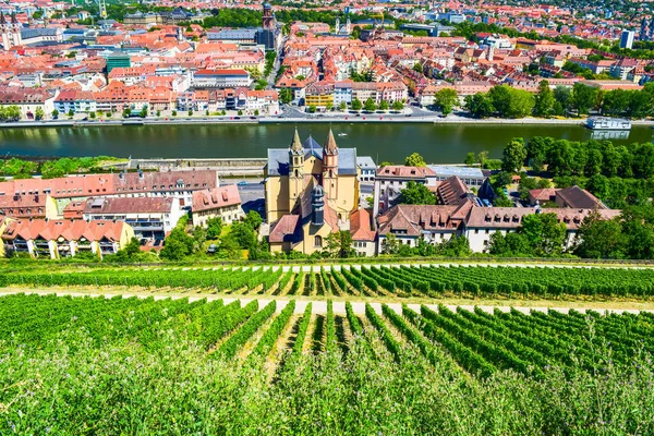 Wurzburg Main River Városképe Top Kilátás Jól Ápolt Szőlőültetvények Domboldalon — Stock Fotó