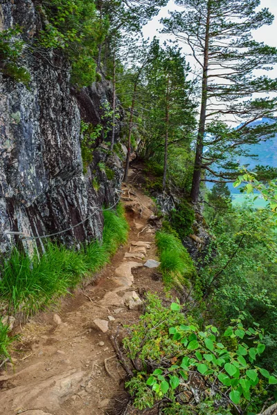 Пеший Поход Рампестрекен Тропа Rampestreken Viewpoint Расположенная Высоте 537 Над — стоковое фото