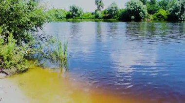 Nehir kıyısındaki küçük kumlu plajın yaz manzarası kıyılarda yeşil ağaçlar ve suya yansıyan bulutlar. Nehir akıntısı, nehirde akan su. Esinti otları sallıyor.