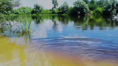 Pirnov, Ukrayna - 20 Temmuz 2020: Küçük motorlu şişirilebilir teknedeki adam nehirde yüzüyor. Nehrin kıyısında yeşil ağaçlarla kaplı küçük kumlu bir sahil manzarası. Nehir akıntısı, nehirde akan su.