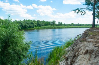 Desna Nehri 'nin yaz manzarası. Dik, kumlu bir kıyısı var..