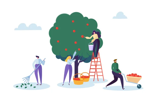 Boer vrouw Kies Apple Tree oogst met Ladder. Teken oogsten rijpe biologische Fruit uit groene natuurlijke boom. Country Garden boerderij landschap platte Cartoon vectorillustratie — Stockvector
