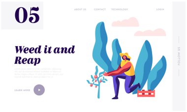 Kadın Çiftçi hasat kırmızı elma ağacından Bahçe açılış sayfası. Ahşap kutu meyve hasat ile şapkalı kız bahçıvan. Gıda web sitesi veya Web sayfası büyüyen erkek. Düz çizgi film vektör çizim