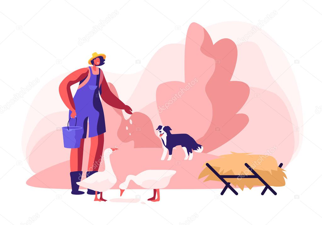 Young Woman in Working Robe Feeding Geese, Dog Stand nearby. Female Farmer, Villager Character at Work. Girl Care of Birds on Farm at Summertime, Agriculture, Farming. Cartoon Flat Vector Illustration