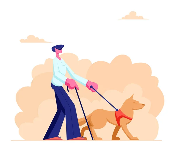 Blind Man Walking with Guide Dog and Cane along Street. Special Trained Animal Helping to Disabled Male Character to Walk in City. Vision Disability, Eyes Disease. Cartoon Flat Vector Illustration