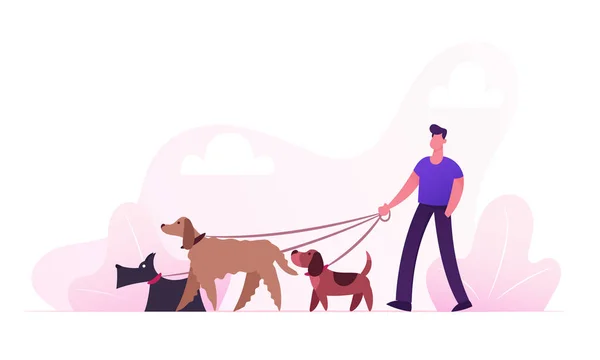 Criador Masculino Carácter Caminando con Perros Equipo Relajándose en Parque. Ocio Comunicación Amor Cuidado de los Animales Actividad Exterior. La gente pasa tiempo con mascotas al aire libre Dibujos animados plana Vector Ilustración — Vector de stock