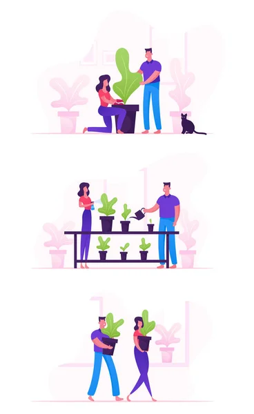 Conjunto de Feliz Casal de Família Homework com Plantas. Personagens de homem e mulher cuidando de flores, removendo para outro pote, regando de lata. Jardinagem Pessoas em casa. Desenhos animados ilustração vetorial plana —  Vetores de Stock