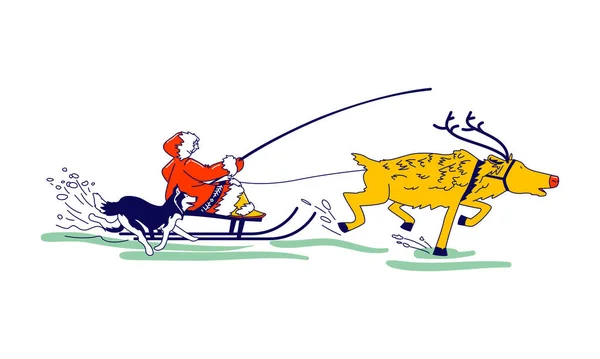Женский персонаж Фемиды верхом на оленьей упряжке со счастливым собачьим бегом рядом. Жизнь на Дальнем Севере — стоковый вектор